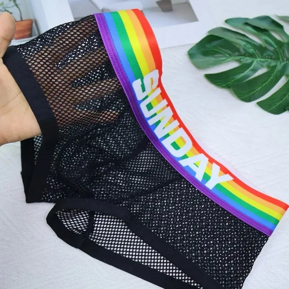 Black Mesh Boxer Briefs with Rainbow Waistband